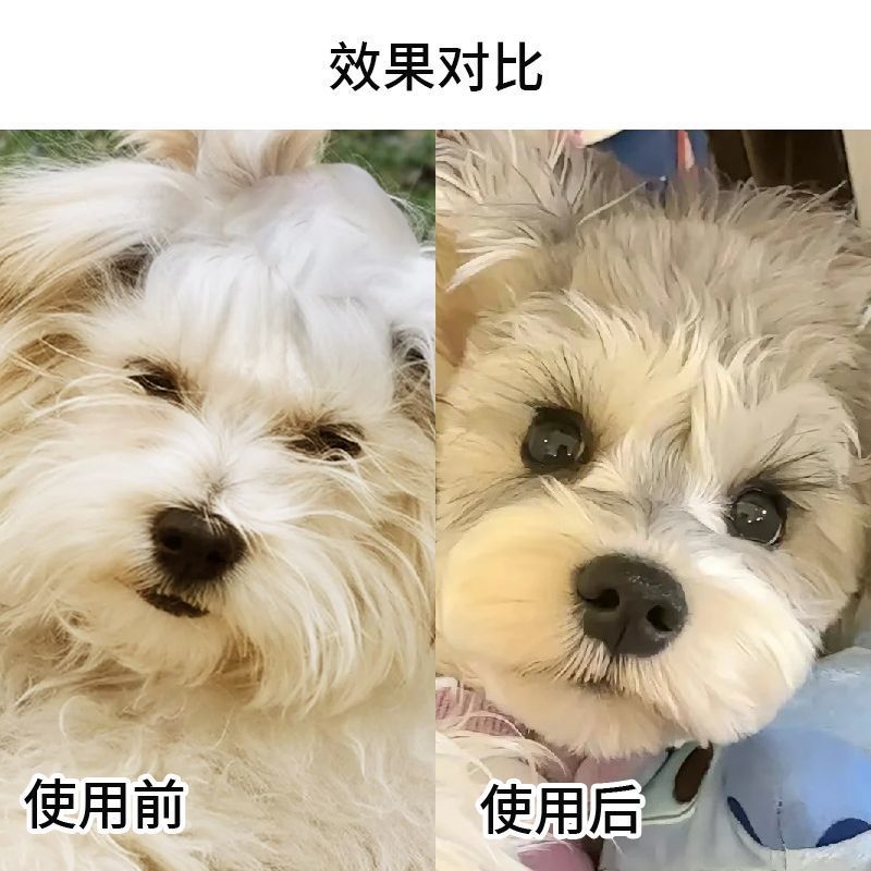 西施犬寵物碎髮膠狗碎毛整理液毛髮定型長毛狗美容用品碎毛膠寵物 3