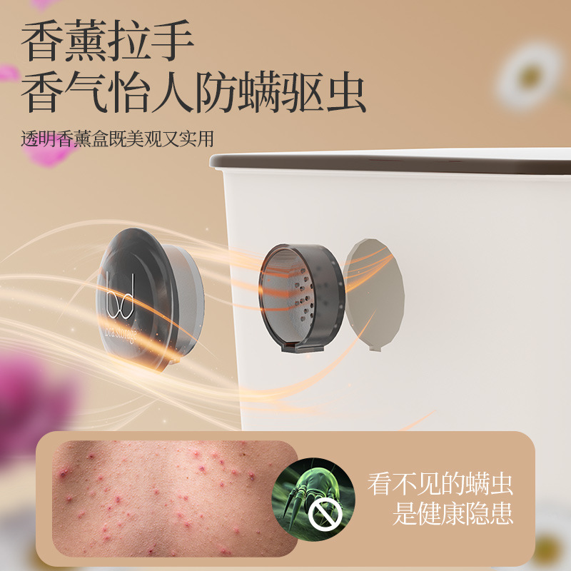 香薰內衣內褲收納盒三合一家用衣櫃內衣褲襪子分格整理箱可放抽屜 3