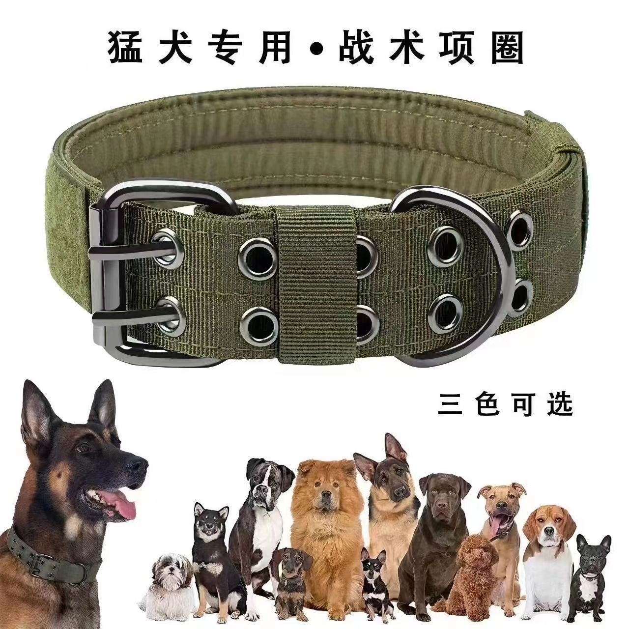 狗項圈中大型犬馬犬金毛猛犬脖套防咬狗脖圈牽引繩防止結實可調節