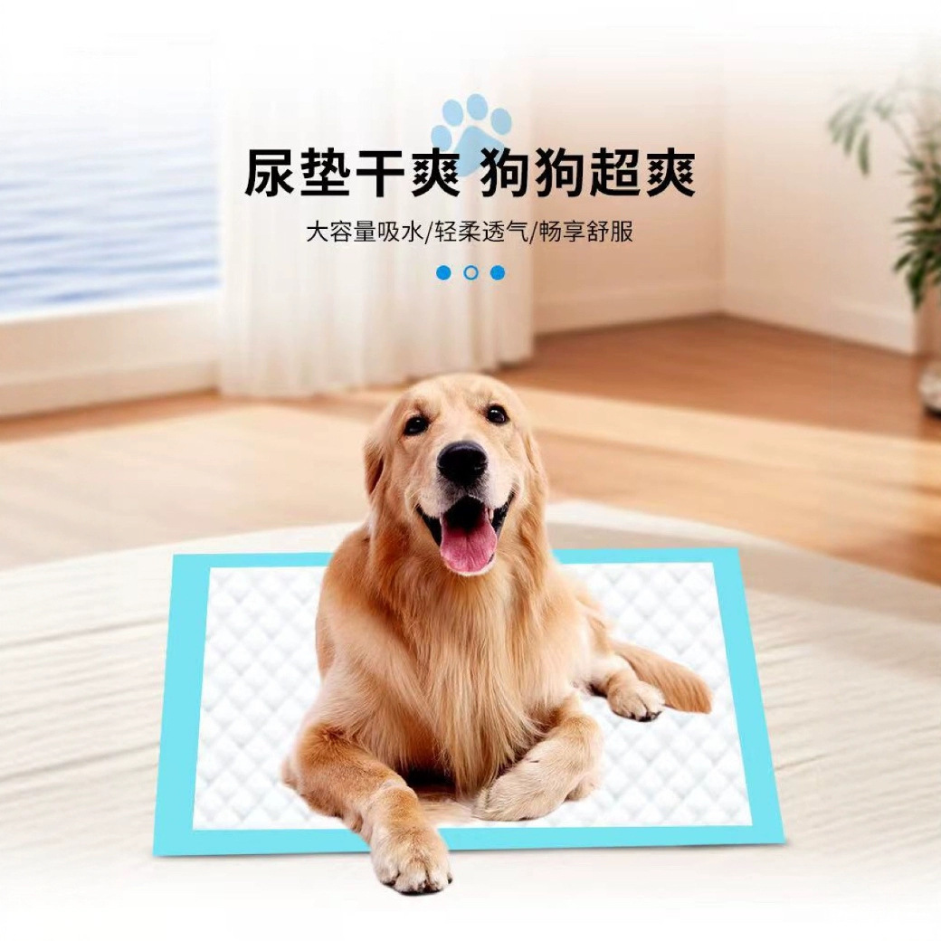 寵物尿片狗狗尿不溼寵物用品瞬吸防漏一次性墊紙尿墊寵物墊 3